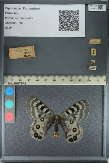 Media type: image;   Entomology 180435